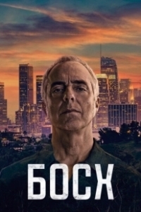Постер Босх (Bosch)