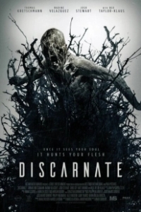 Постер Бесплотный (Discarnate)