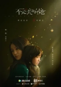 Постер Несовершенная любовь (Imperfect Love)