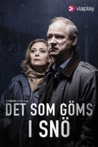 Постер То, что спрятано под снегом (Det som göms i snö)
