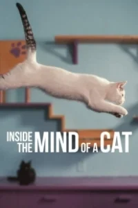 Постер Внутри разума кошки (Inside the Mind of a Cat)