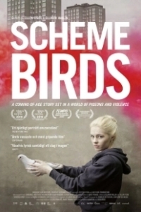 Постер Птички Предместья (Scheme Birds)
