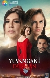 Постер Враг в моём доме (Yuvamdaki Düsman)
