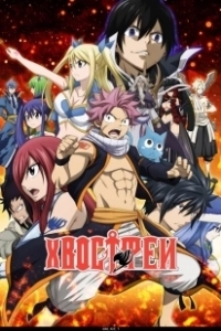 Постер Сказка о хвосте феи (Fairy Tail)