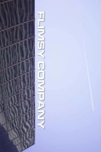 Постер Сомнительная компания (Flimsy Company)