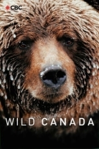 Постер Дикая Канада (Wild Canada)