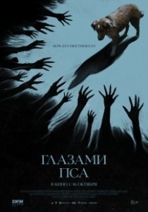 Постер Глазами пса (Good Boy)