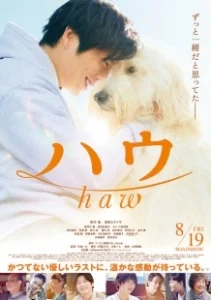 Постер Гав (Haw)