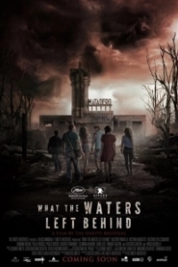 Постер Что воды оставили позади (What the water left behind)