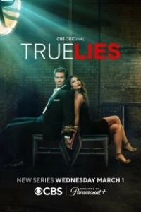 Постер Правдивая ложь (True Lies)