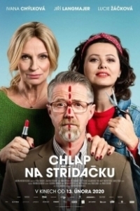 Постер Совместная опека (Chlap na strídacku)