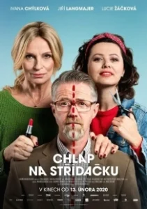 Постер Совместная опека (Chlap na strídacku)