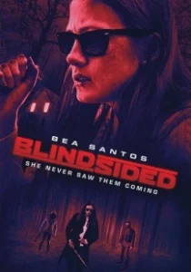 Постер Темнее ночи (Blindsided)