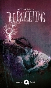 Постер В ожидании (The Expecting)