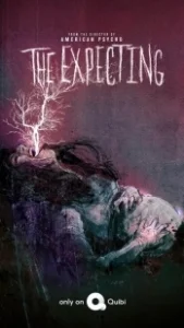 Постер В ожидании (The Expecting)