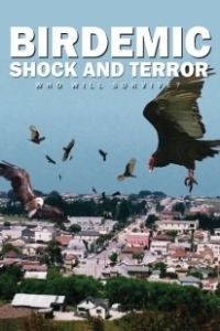 Постер Птицекалипсис: Шок и трепет (Birdemic 1: Shock and Terror)