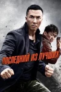Постер Последний из лучших (Kung Fu Killer)
