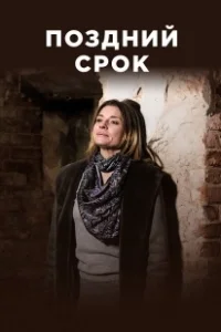 Постер Поздний срок 