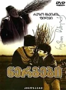 Постер Саженцы