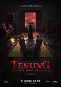 Постер Заклятие (Tenung)