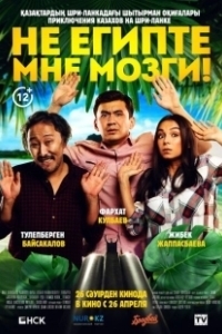 Постер Не египте мне мозги! 