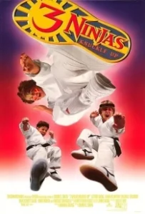 Постер Три ниндзя: Костяшки вверх (3 Ninjas III: Knuckle Up)