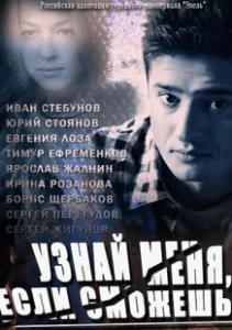 Постер Узнай меня, если сможешь 