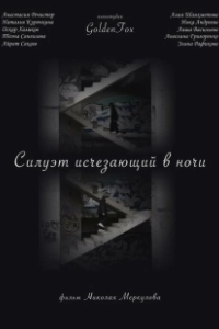 Постер Силуэт, исчезающий в ночи 