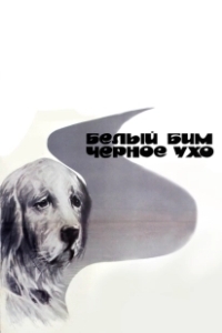Постер Белый Бим Черное ухо 