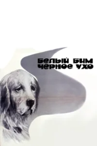 Постер Белый Бим Черное ухо