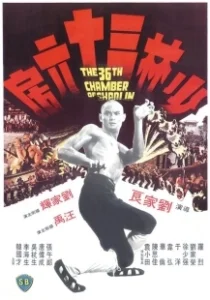 Постер 36 ступеней Шаолиня (The 36th Chamber of Shaolin)