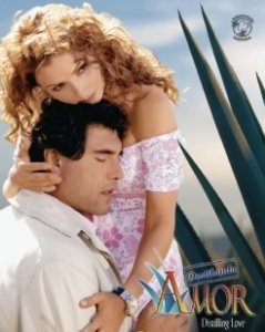 Постер Очищенная любовь (Destilando amor)