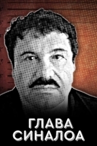 Постер Глава Синалоа (The CEO of Sinaloa)