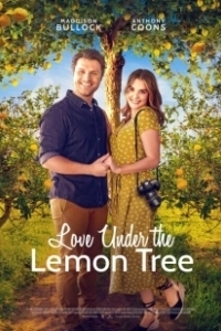 Постер Любовь под лимонным деревом (Love Under the Lemon Tree)