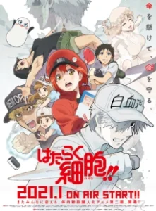 Постер Работа клеток (Hataraku Saibou!!)