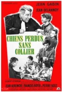 Постер Бродячие собаки без ошейников (Chiens perdus sans collier)