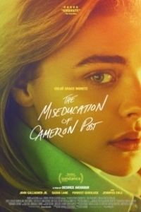 Постер Неправильное воспитание Кэмерон Пост (The Miseducation of Cameron Post)