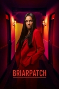 Постер Тернистый Путь (Briarpatch)