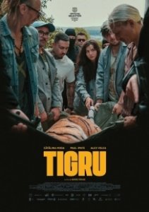 Постер День тигра (Tigru)