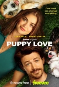 Постер Щенячья любовь (Puppy Love)