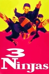 Постер Три ниндзя (3 Ninjas)
