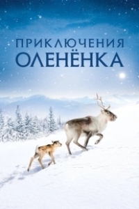 Постер Приключения оленёнка (A Reindeer's Journey)