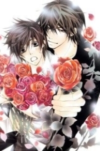 Постер Лучшая в мире первая любовь (Sekaiichi hatsukoi)