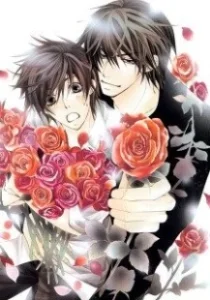 Постер Лучшая в мире первая любовь (Sekaiichi hatsukoi)