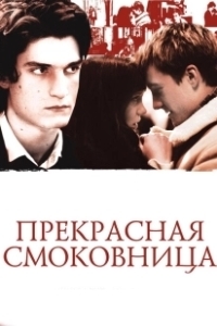 Постер Прекрасная смоковница (La belle personne)