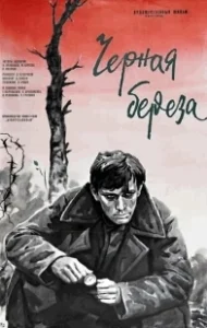 Постер Черная береза 