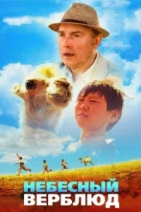 Постер Небесный верблюд 