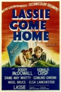 Постер Лесси возвращается домой (Lassie Come Home)