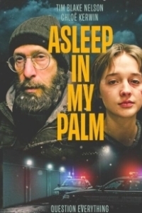 Постер Она заснула в моей ладони (Asleep in My Palm)