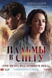 Постер Пальмы в снегу (Palmeras en la nieve)